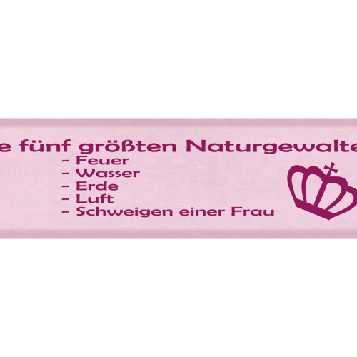 Schild Die 5 Größten Naturgewalten Feuer Wasser Erde Luft Schweigen Frau 46x10