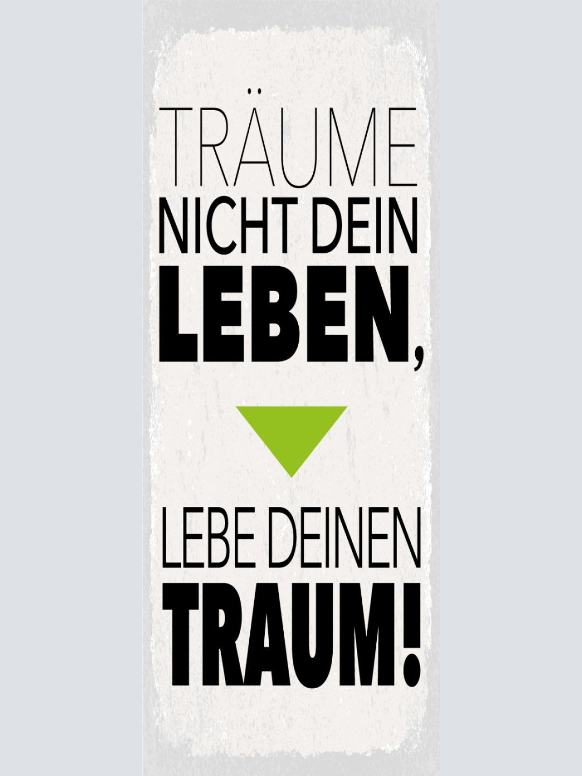 Schild Träume Nicht Dein Leben Lebe Deinen Traum Wunsch 27x10 Blech od.Holz
