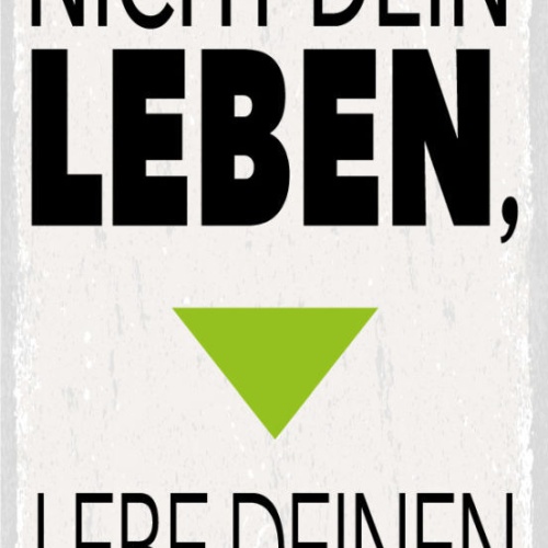 Schild Träume Nicht Dein Leben Lebe Deinen Traum Wunsch 27x10 Blech od.Holz
