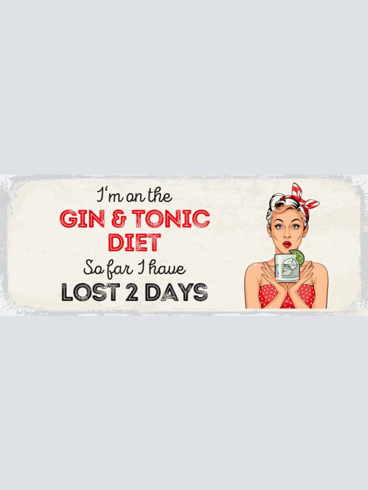 Schild I'm On The Gin & Tonic Diet So Far I Have Lost 2 Days 27x10 Blech od.Holz