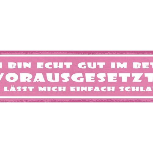 Schild Ich Bin Echt Gut Im Bett Vorausgesetzt Man Lässt Mich Einfach Schlafen