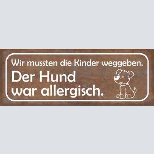 Schild wir mussten das kind weggeben der hund war allergisch 27x10 blech od.holz