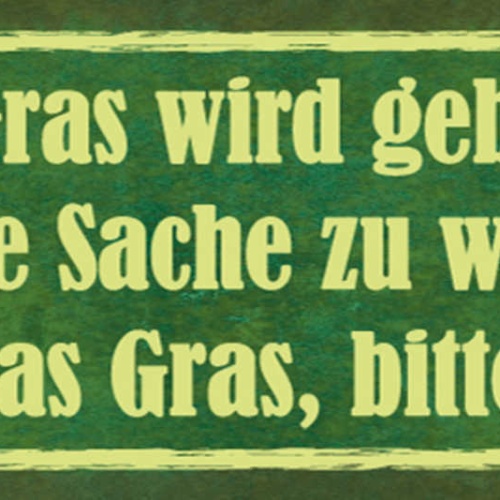 Schild Das Gras Wird Gebeten Über Die Sache Zu Wachsen Bitte 27x10 Blech od.Holz
