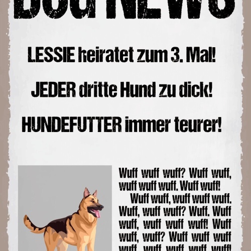 Schild Dog News Hund Zeitung Nachrichten 12x18 / 20x30 / 30x40 Blech od. Holz