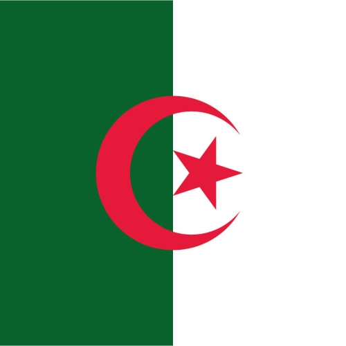 Schild Flagge Algerien Algeria Afrika Fahne 12x18 / 20x30 / 30x40 Blech od. Holz