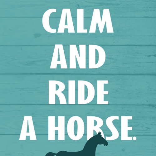 Schild Keep calm Ride horse Pferd Reiten 12x18 / 20x30 / 30x40 Blech od. Holz