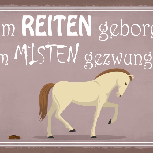 Schild Zum Reiten geboren Misten Pferd Stall 12x18 / 20x30 / 30x40 Blech od.Holz