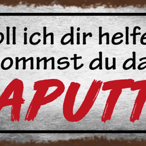 Schild Soll Ich Dir Helfen Oder Bekommst Du Das Alleine Kaputt Defekt 27x10