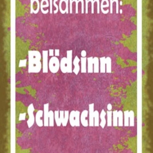 Schild Ich Habe Alle Meine Sinne Beisammen Blödsinn Unsinn 27x10 Blech od.Holz
