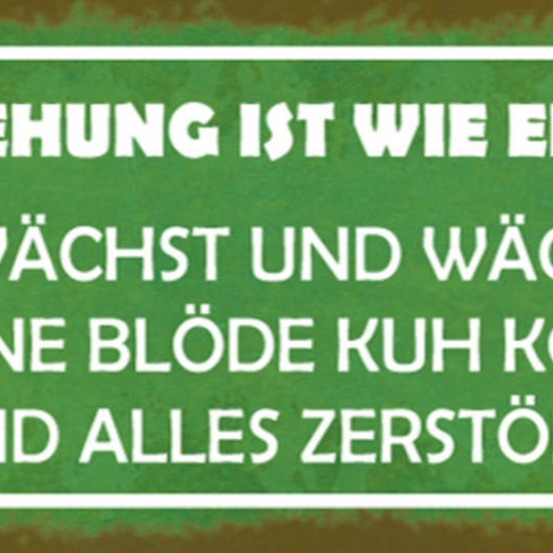 Schild Eine Beziehung Ist Wie Eine Wiese Wächst Blöde Kuh Alles Zerstört 27x10