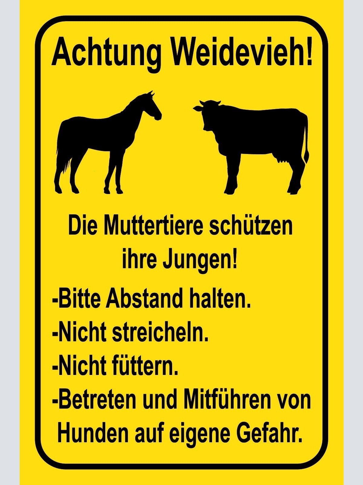 Schild Weidevieh Kuh Pferd Muttertier Jungen 12x18 / 20x30 / 30x40 Blech od.Holz