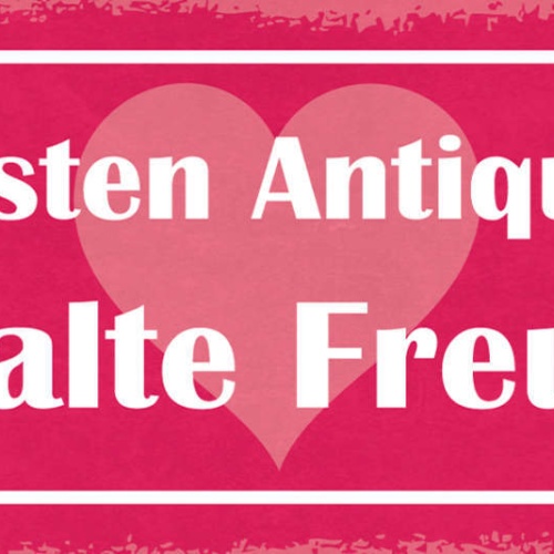 Schild Die Besten Antiquitäten Sind Alte Freunde Freundschaft 27x10Blech od.Holz