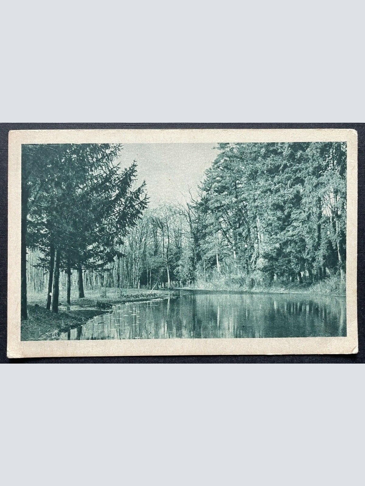 Fluss Bach Wald Baum Park Au Gebiet Italien? 410154 TH C