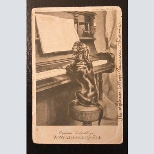 Orpheus Liebesklage Dackel Am Klavier Gr 1741 H