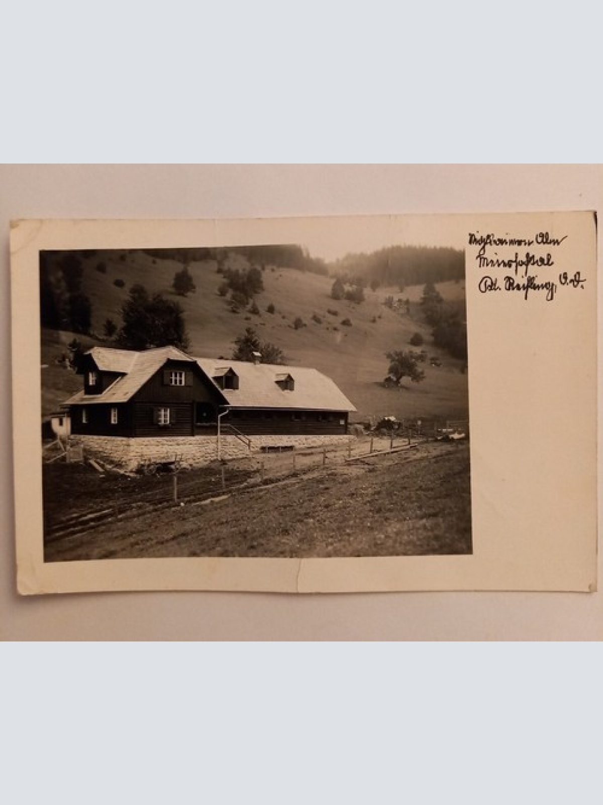 Klein Reifling Österreich 500104A gr D