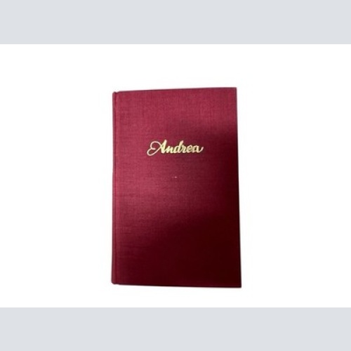 Andrea und die rote Nacht Merlin, Gilbert.: