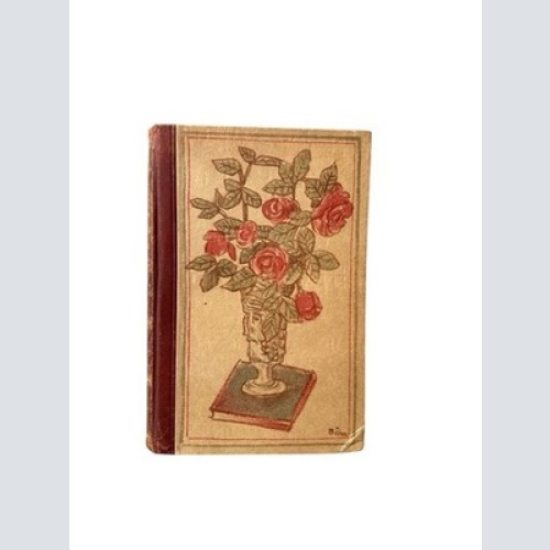 Abenteuer im Sommer : Roman Juliane Kay. Mit e. Geleitw. von Jakob Schaffner Kay