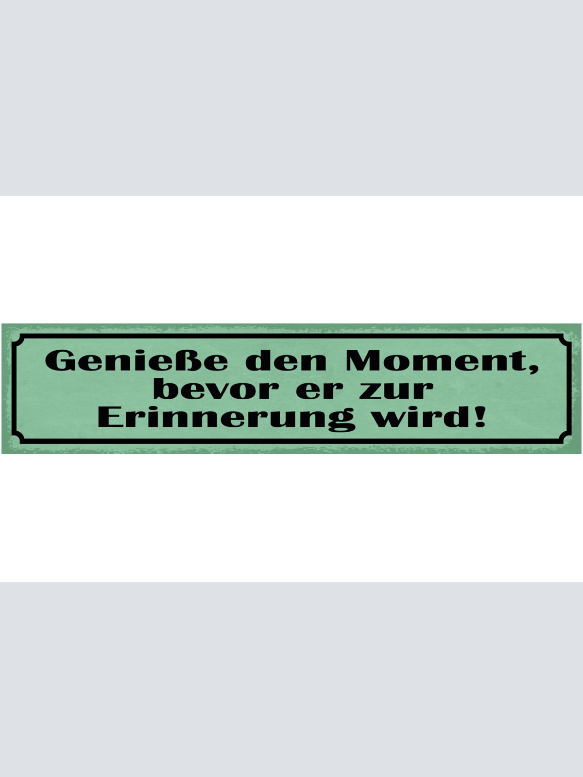 Schild Genieße Den Moment Bevor Er Zur Erinnerung Wird 46 x 10 Blech od. Holz