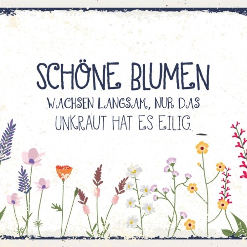 Schild Schöne Blumen Wachsen Langsam Unkraut Eilig 12x18 20x30 30x40 Blech/Holz