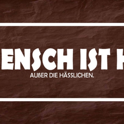 Schild Jeder Mensch Ist Hübsch Außer Die Hässlichen Schön 27 x 10 Blech od. Holz