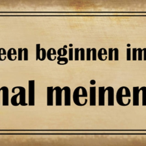 Schild Dumme Ideen Beginnen Immer Mit Halt Mal Meinen Wein 27x10 Blech od.Holz