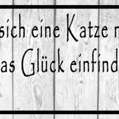 Schild Wo Immer Sich Eine Katze Niederlässt Wird Sich Das Glück Einfinden 27x10