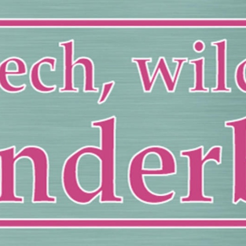 Schild Sei Frech Wild & Wunderbar Einzigartig Jung Aktiv 27 x 10 Blech od. Holz