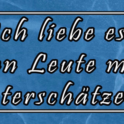 Schild Ich Liebe Es Wenn Leute Mich Unterschätzen  27 x 10 Blech od. Holz
