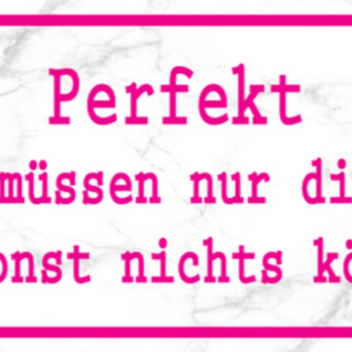 Schild Perfekt Aussehen Müssen Nur Die Frauen Die Sonst Nichts Können 27x10