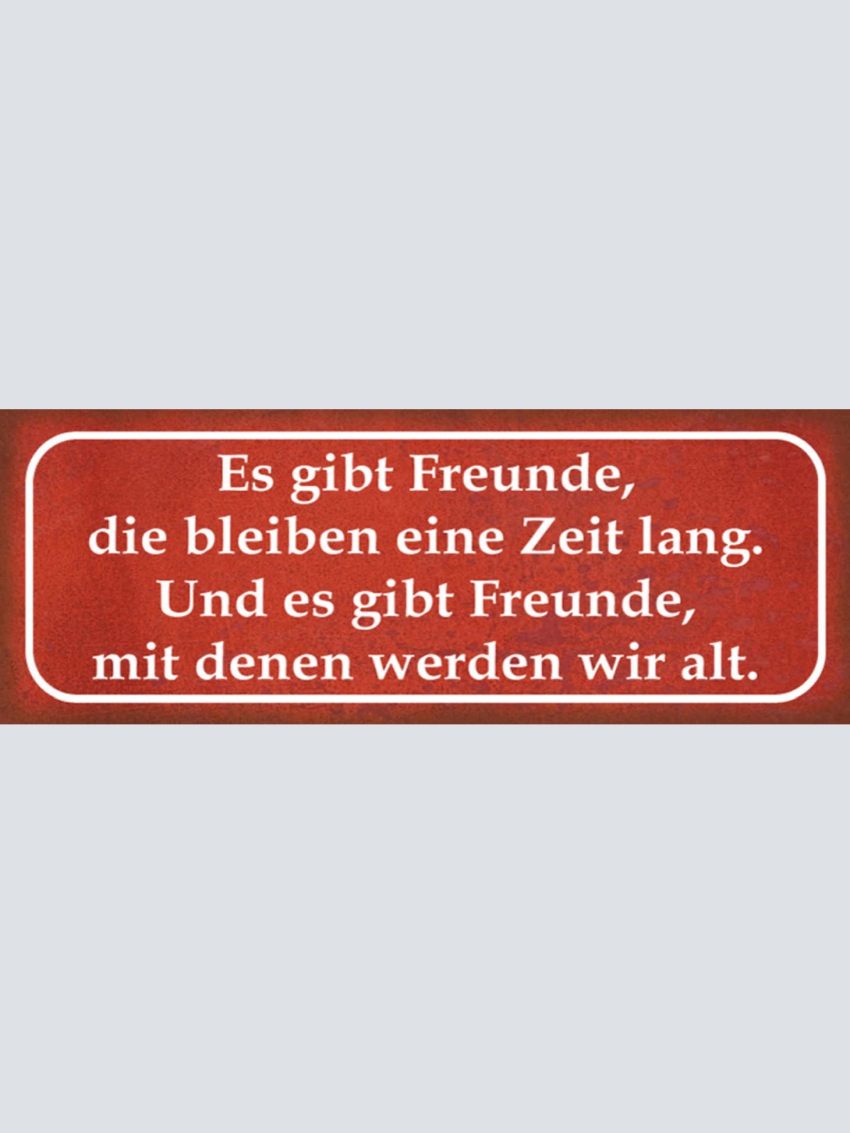 Schild Es Gibt Freunde Die Bleiben Eine Zeit Lang & Mit Denen Werden Wir Alt