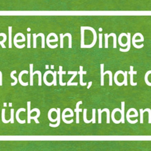 Schild Wer Die Kleinen Dinge Im Leben Schätzt Hat Das Wahre Glück Gefunden 27x10