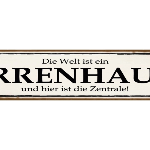 Schild Welt Irrenhaus Zentrale Verrückt Psychiatrie Irre 46 x 10 Blech od. Holz