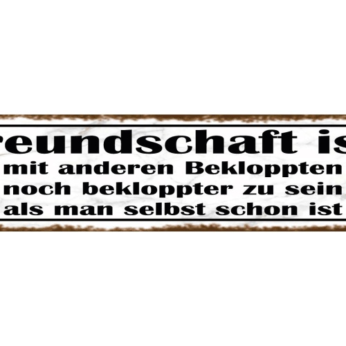 Schild Freundschaft Freunde Bekloppt Verrückt Bekannte 46 x 10 Blech od. Holz