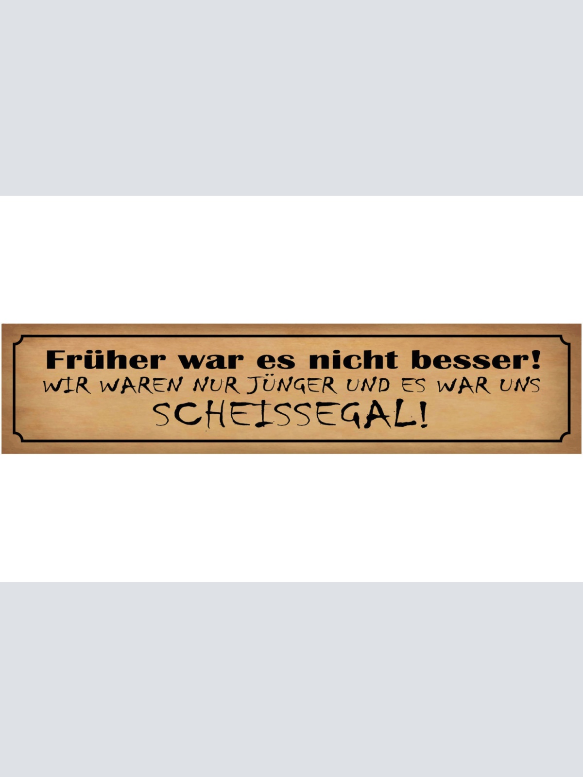 Schild Früher Nicht Besser Jünger Jung Jugend Scheissegal 46 x 10 Blech od. Holz