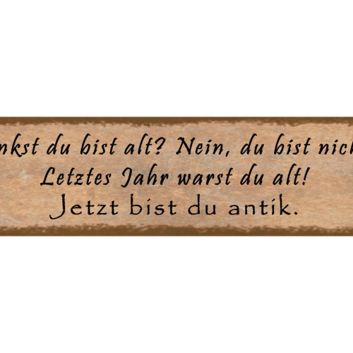 Schild Alt Alter Antik Jahr Geburtstag Leben Senioren 46 x 10 Blech od. Holz