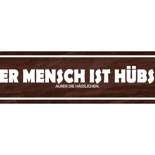 Schild Jeder Mensch ist Hübsch Hässlich Schön Attraktiv 46 x 10 Blech od. Holz