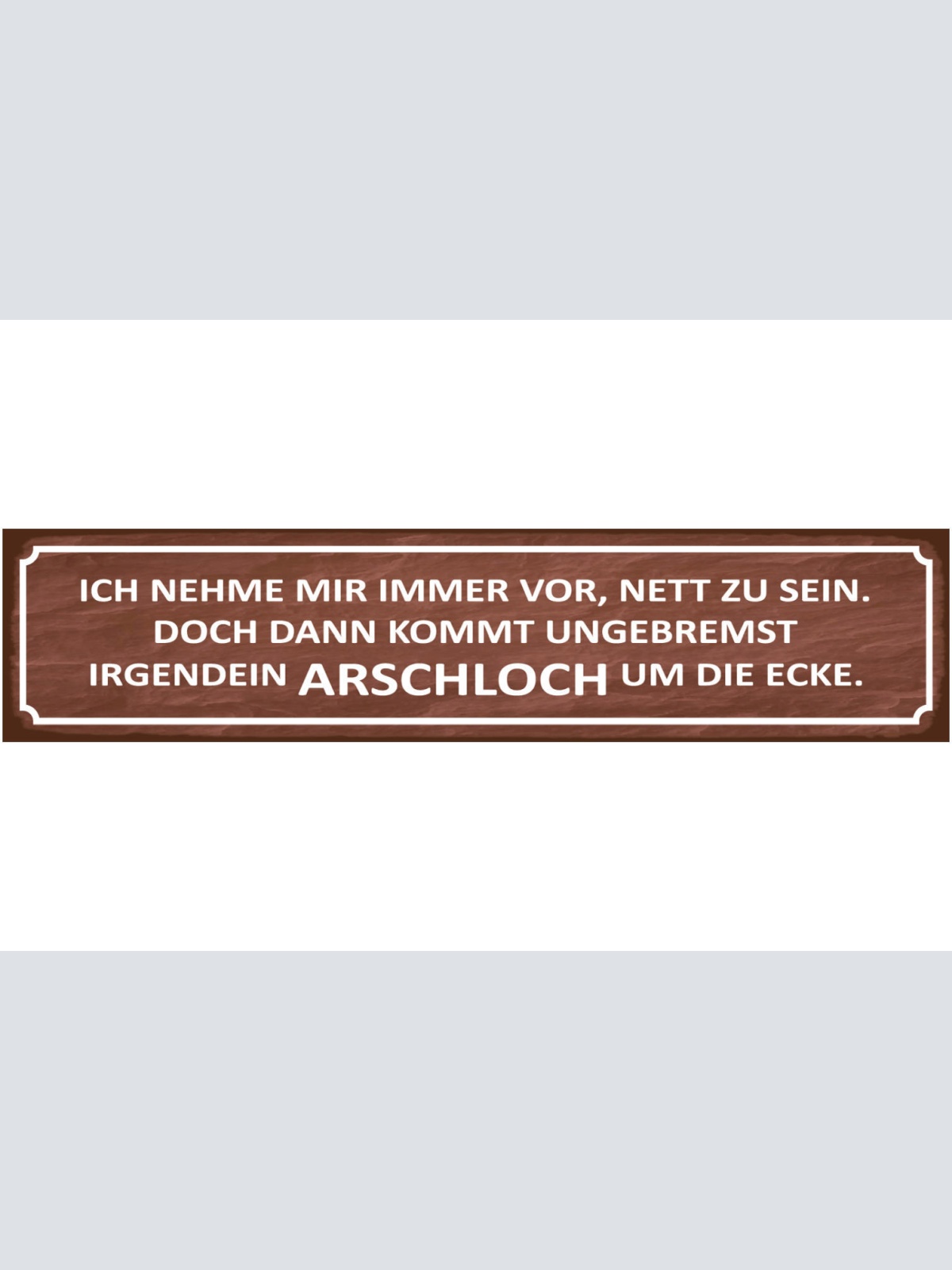 Schild Vorsatz Plan Nett Freundlich Arschloch Ärger Frust 46 x 10 Blech od. Holz
