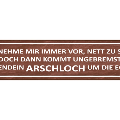 Schild Vorsatz Plan Nett Freundlich Arschloch Ärger Frust 46 x 10 Blech od. Holz