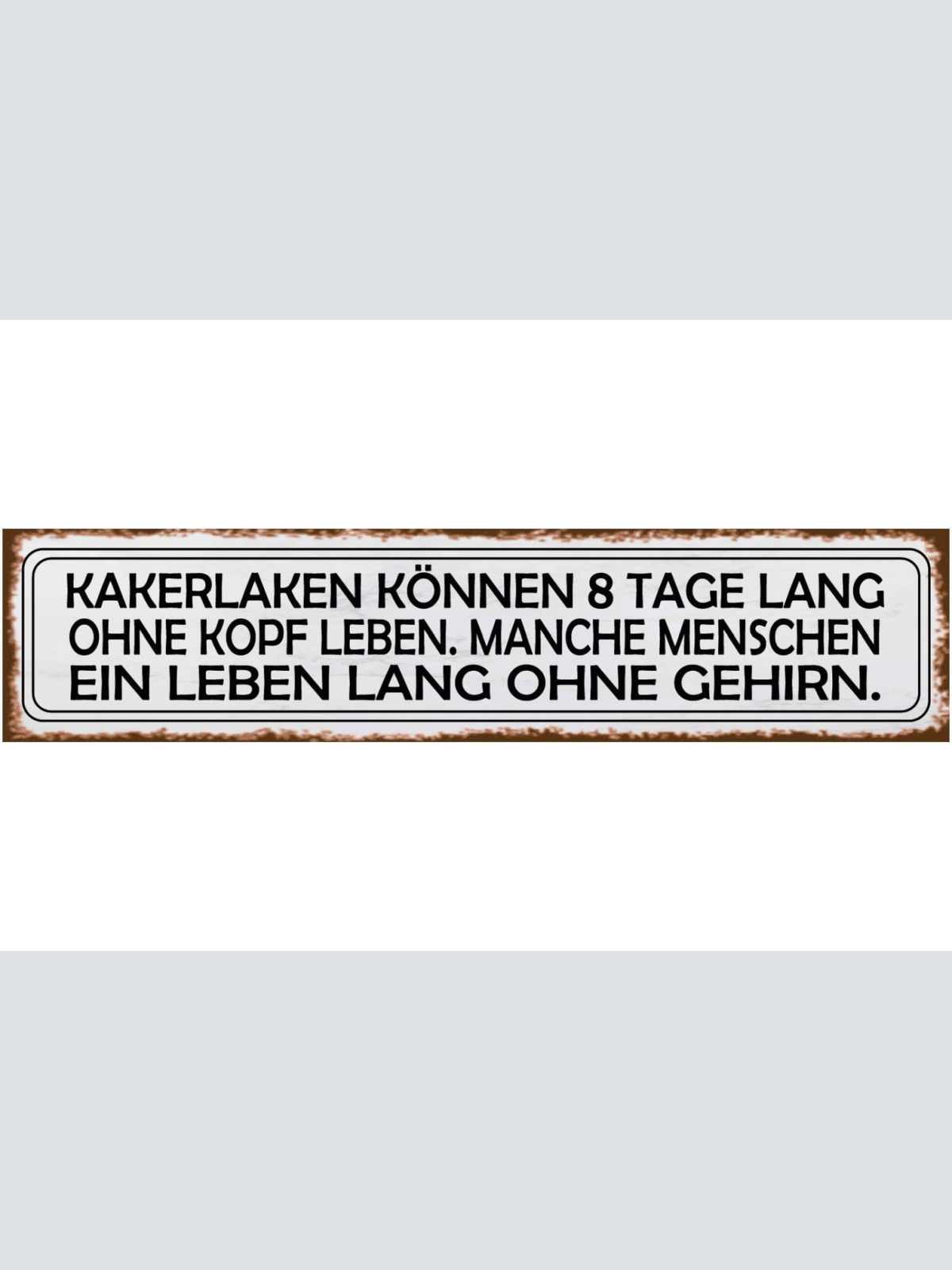 Schild Kakerlaken Kopf Menschein Kein Gehirn Dumm Blöd 46 x 10 Blech od. Holz