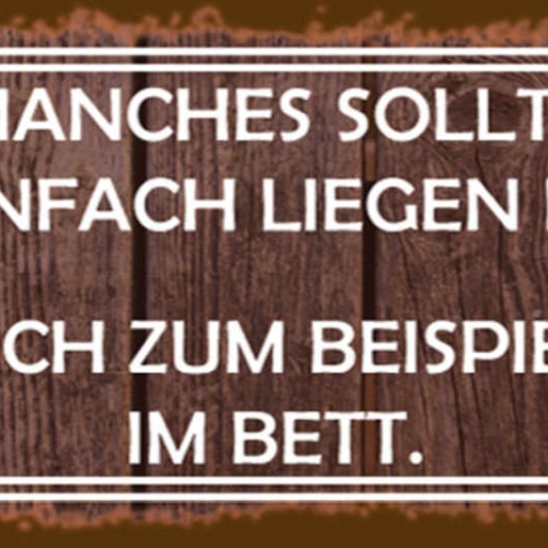 Schild Manches Sollte Man Liegen Lassen Mich Zum Beispiel Im Bett 27x10