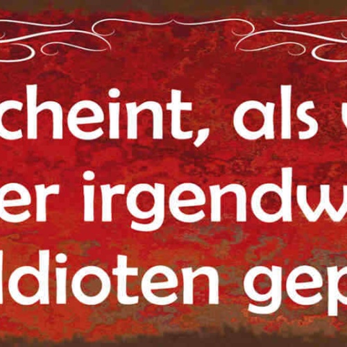 Schild Mir Scheint Als Wäre Wieder Irgendwo Ein Sack Idioten Geplatzt 27x10