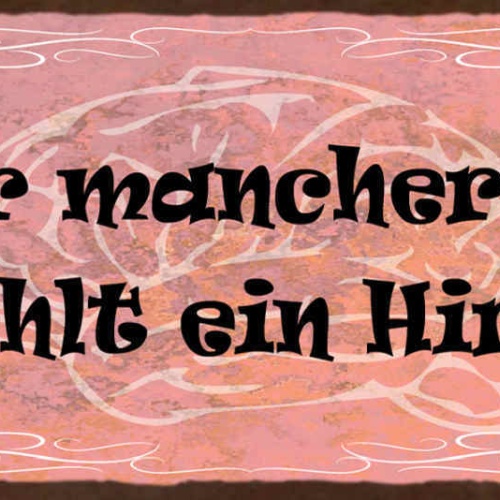 Schild Hinter Mancher Stirn Fehlt Ein Hirn Gehirn Dumm 27x10 Blech od.Holz