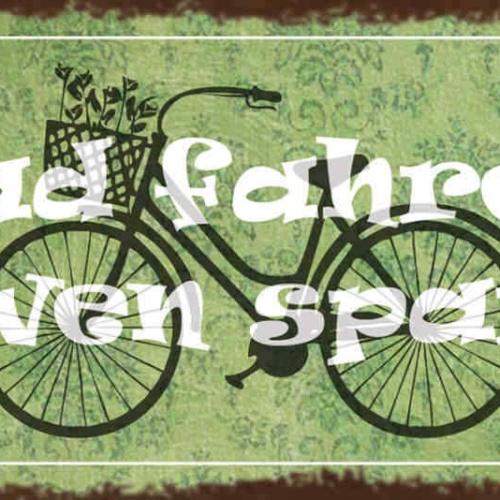 Schild Rad Fahren Nerven Sparen Fahrrad Fahree Bike 27x10 Blech od.Holz
