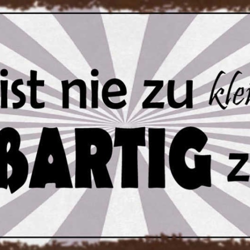 Schild Man Ist Nie Zu Klein Um Großartig Zu Sein Größe 27x10 Blech od.Holz