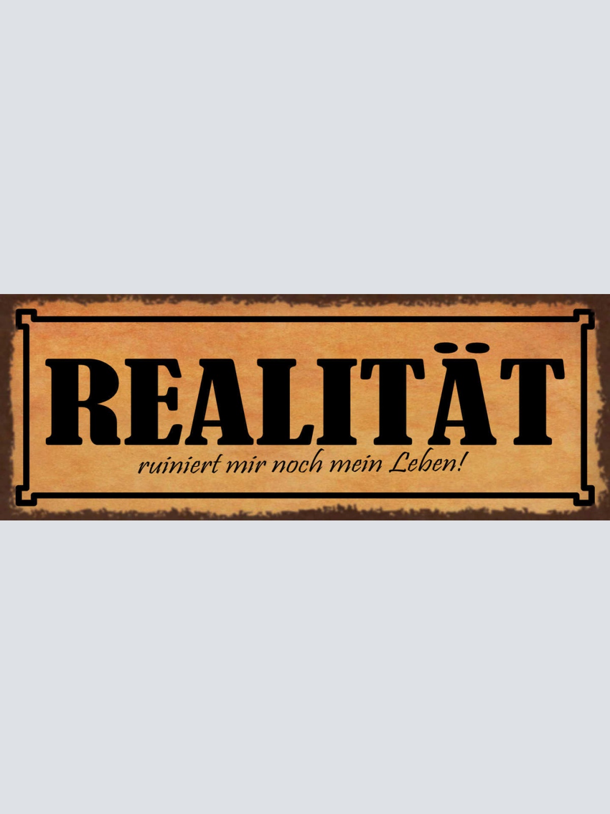 Schild Realität Ruiniert Mir Noch Mein Leben Plan Ziel 27x10 Blech od.Holz