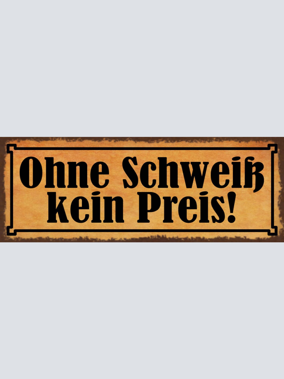Schild Ohne Schweiß Kein Preis Leben Ehrgeiz Arbeit Ziel 27x10 Blech od.Holz