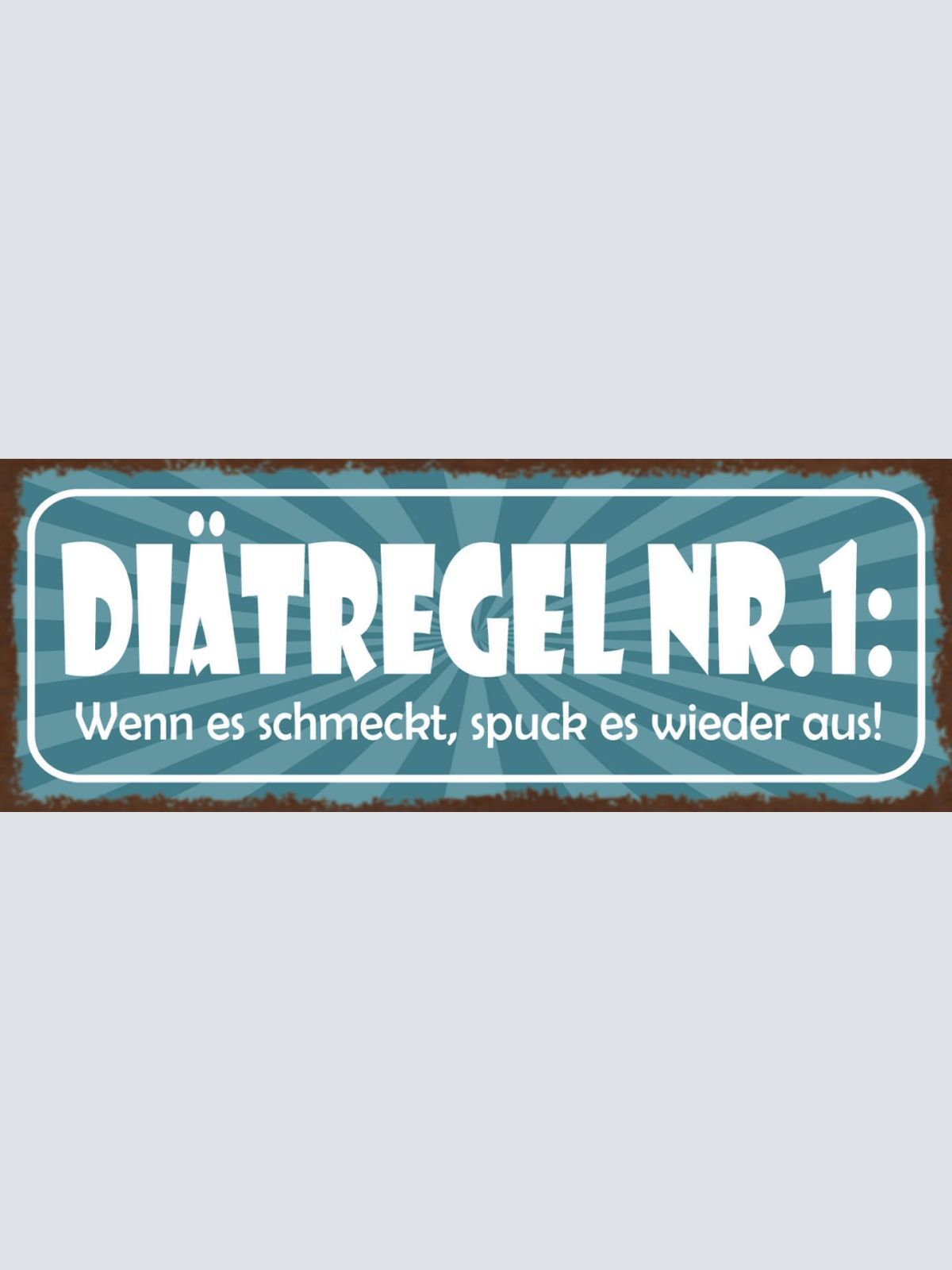 Schild Diätregel Nr.1 Wenn Es Schmeckt Spuck Es Wieder Aus 27x10 Blech od.Holz