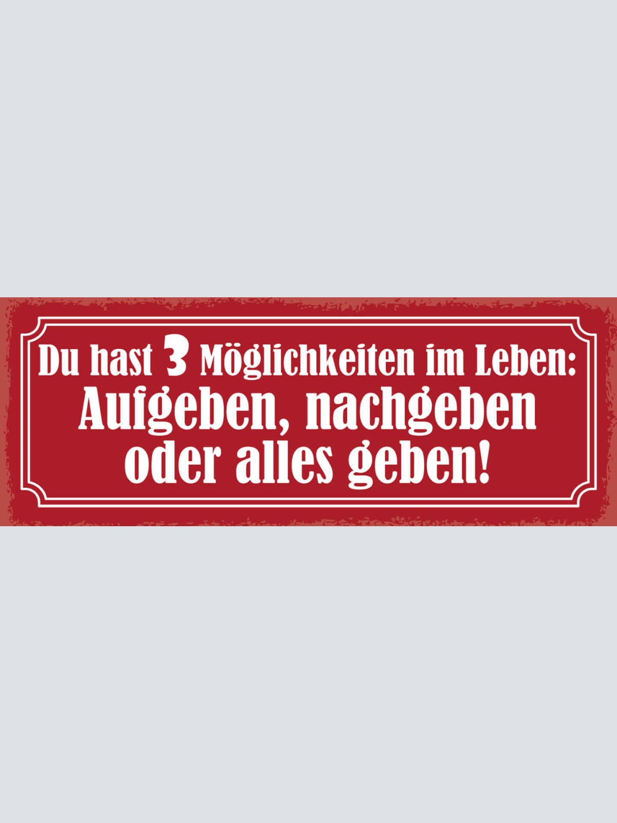 Schild Du Hast 3 Möglichkeiten Im Leben Aufgeben Nachgeben Alles Geben 27x10