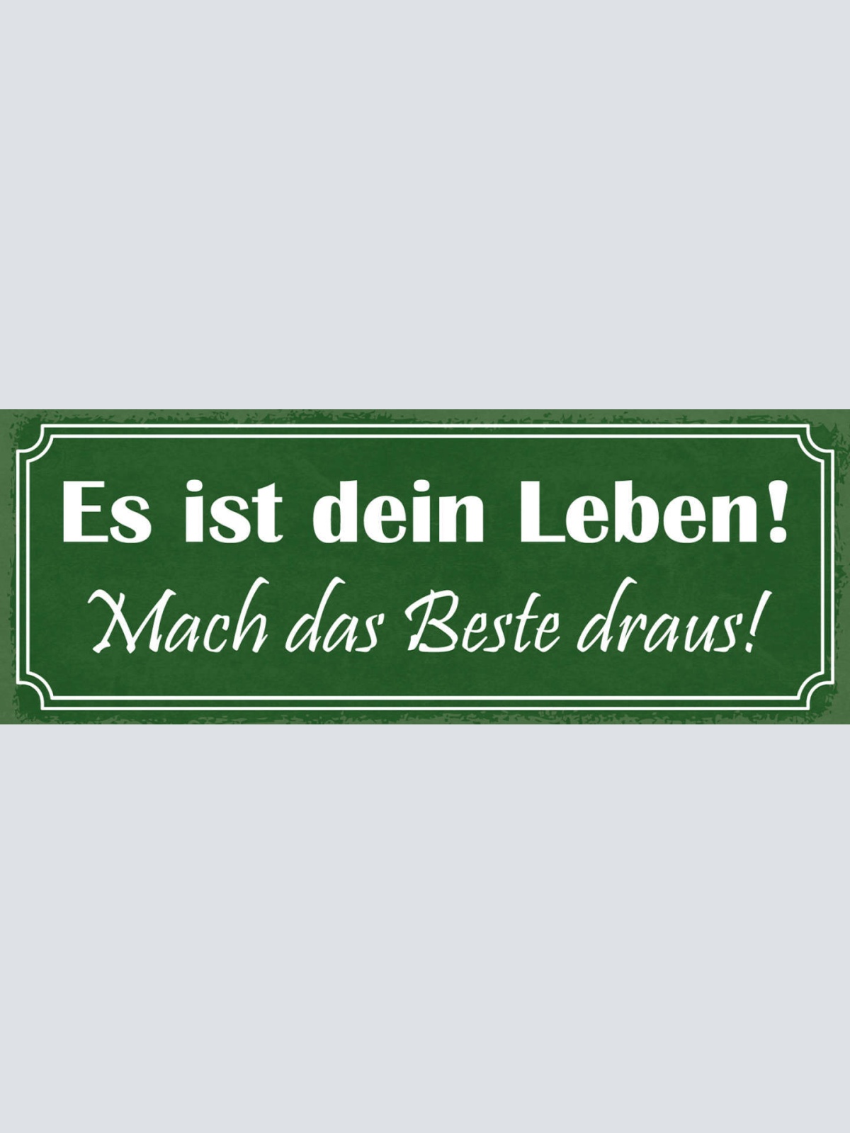 Schild Es Ist Dein Leben Mach Das Beste Draus Planung Traum 27x10 Blech od.Holz