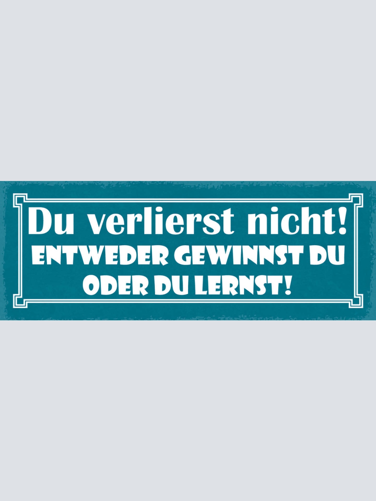 Schild Du Verlierst Nicht Entweder Du Gewinnst Oder Lernst 27x10 Blech od.Holz